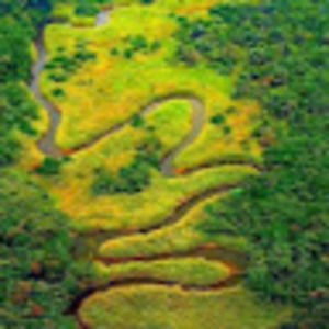 Meet your Posher, Maria vittoria